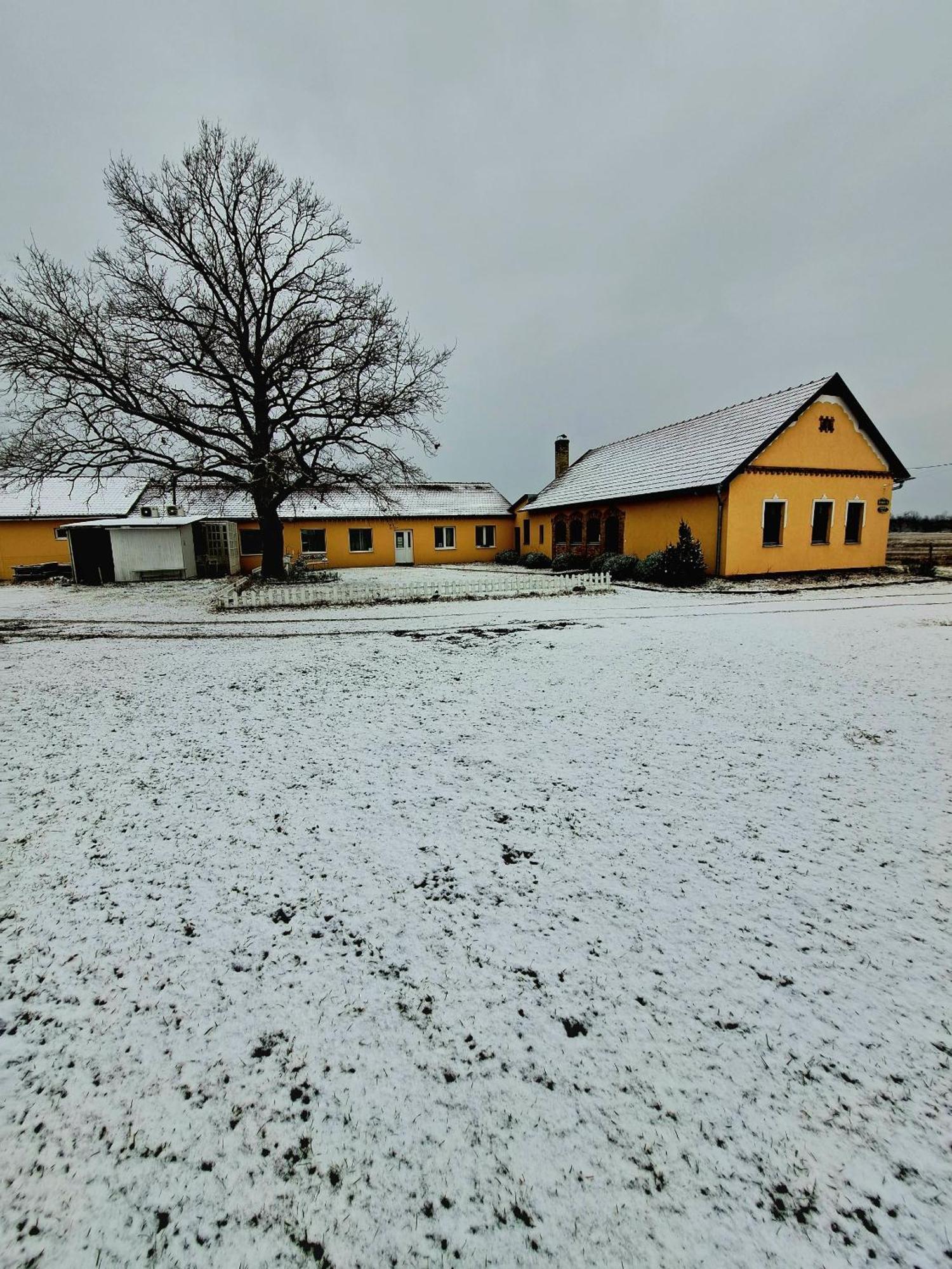 Csodarét Kúria Mórahalom Kültér fotó